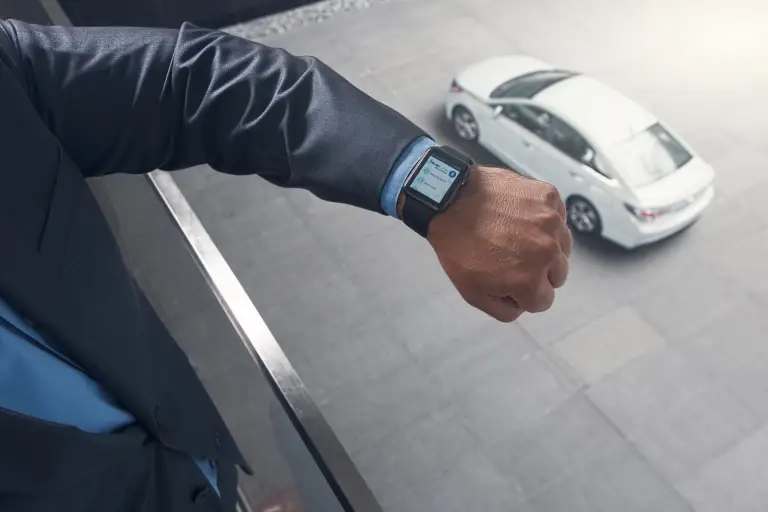 Hyundai Blue Link Apple Watch - 6